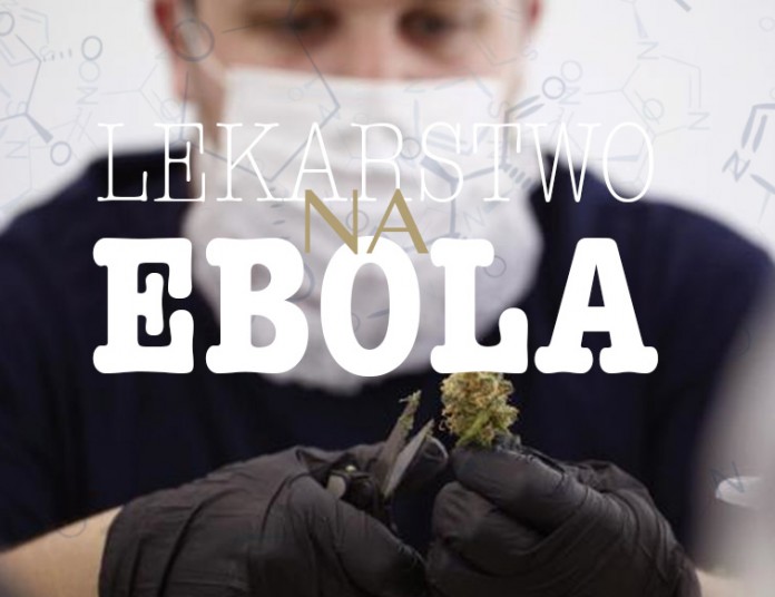 ebola i marihuana