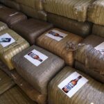 marihuana z etykietami piwa