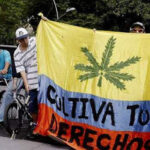 medyczna marihuana w kolumbii