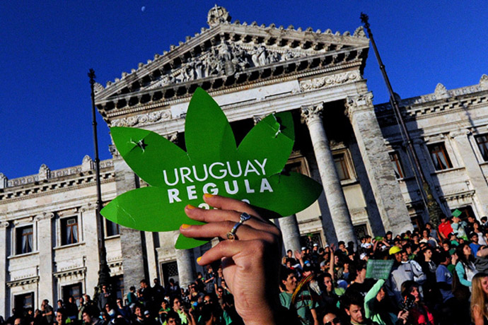 urugwaj legalizacja marihuany