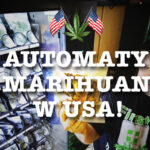 automaty z marihuaną