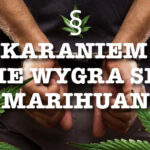 Kara za posiadanie konopii