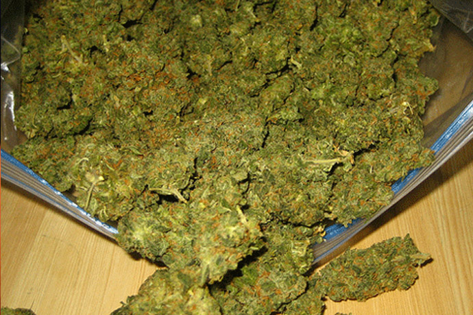 policja przechwycila plantacje marihuany 50kg