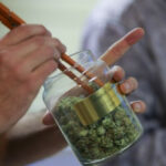 konopie dobre w walce z alkoholem