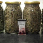 marihuana w stodole i w domu