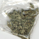 diler pijany marihuana