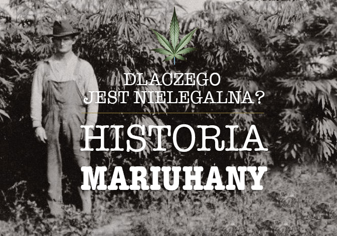 historia marihuany w usa