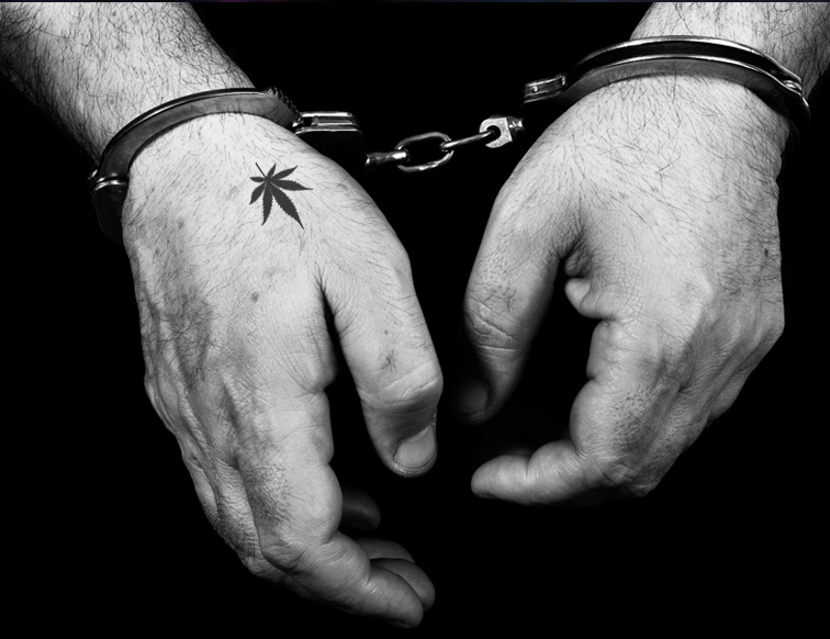 policja uwolniła skazanego za posiadanie marihuany