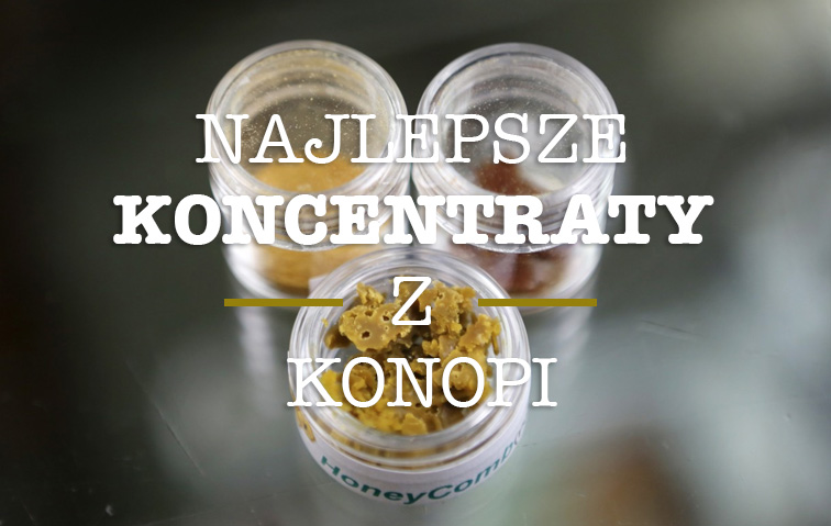 koncentraty