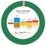 analiza marihuany pod mikroskopem