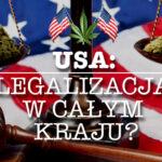 Legalizacja w USA