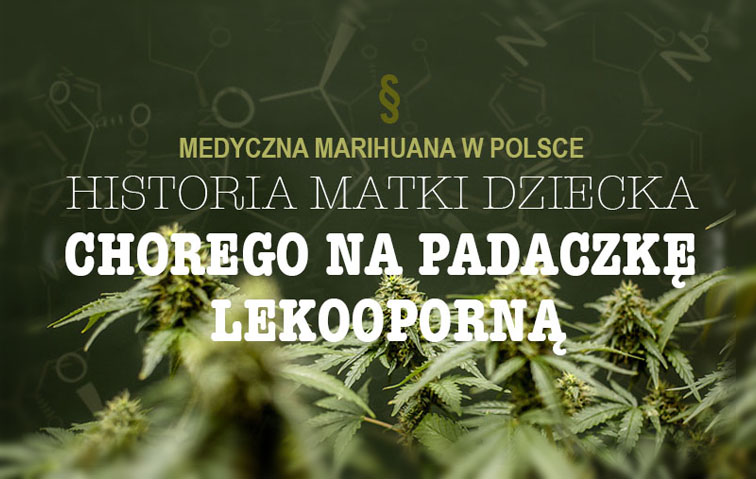 marihuana leczy padaczke