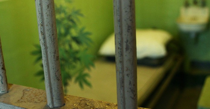 Legalne zioło w więzieniu