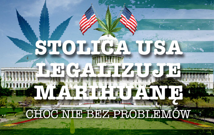 Legalizacja marihuany USA