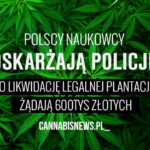 o likwidacje planatacji marihuany