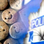 Areszt za ciastka z konopi