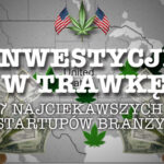 7 najciekawszych startupów branży konopnej