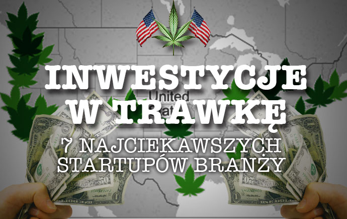 7 najciekawszych startupów branży konopnej