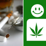 Zioło kontra inne używki