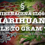Nieznaczna ilość marihuany – 10g