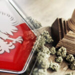 ciąg dalszy debaty o legalizacji