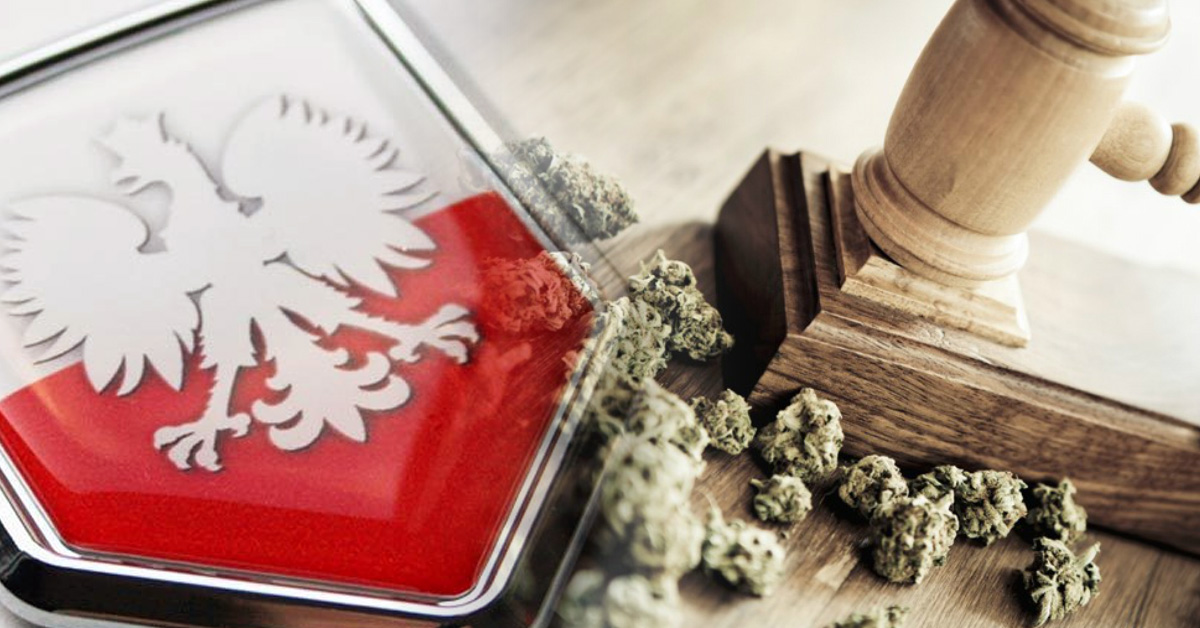 ciąg dalszy debaty o legalizacji