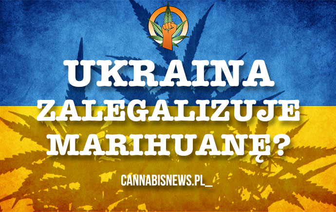 Czy legalizacja marihuany uratuje ukraińską gospodarkę?