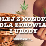 kosmetyki naturalne z oleju konopi