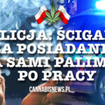 Ścigają za posiadanie a sami palą