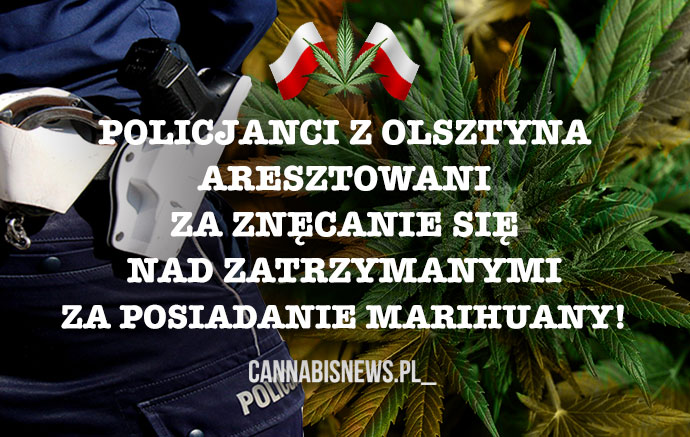 Policjanci z Olsztyna aresztowani za znęcanie się nad zatrzymanymi za posiadanie marihuany!