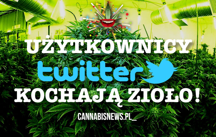 Twitter kocha marihuanę!