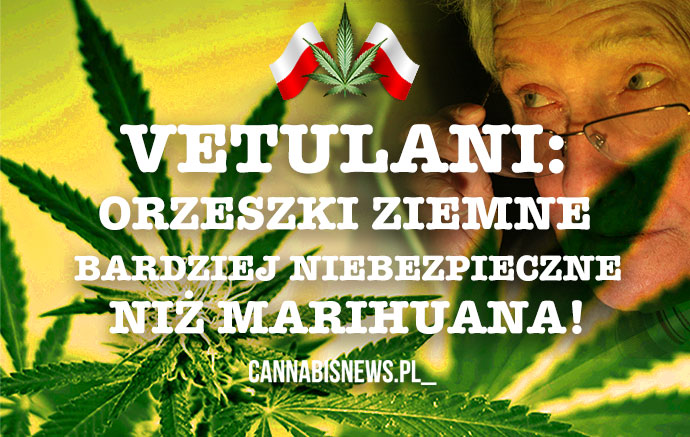 Prof. Vetulani: Zalegalizować marihuanę!
