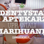 farmaceuta i stomatolog uprawiaja marihuane
