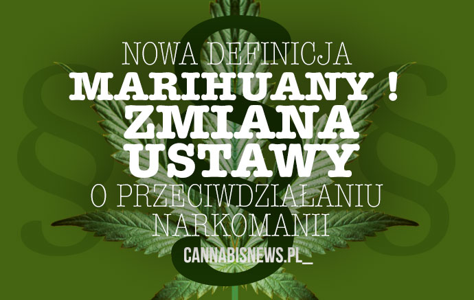 zmiana definicji marihuany w polsce