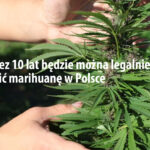 legalne palenie marihuany
