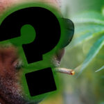 Sławni palacze marihuany