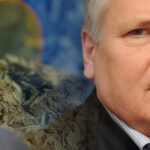 Marihuana medyczna w Polsce