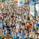 Fotorelacja z Marszu Wyzwolenia Konopi 2015