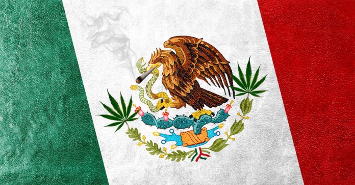 Legalizacja w Meksyku