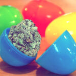 jajka z konopną niespodzianką