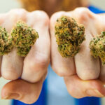 Zioło pomaga uzależnionym