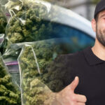 Paczka niespodzianka z ziołem