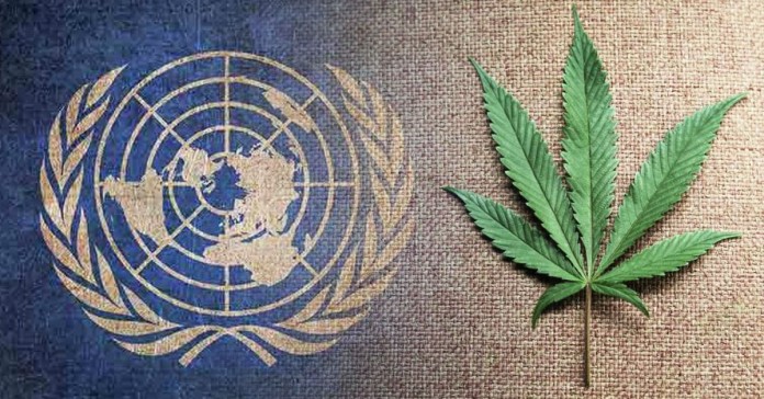 ONZ debata o narkotykach