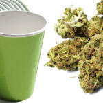 papierowe kubki cannabiznes