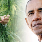 Obama za medyczną marihuaną