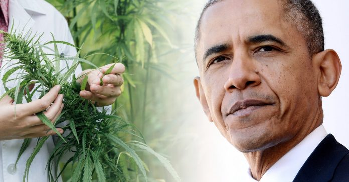 Obama za medyczną marihuaną