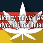 Niemcy zalegalizują medyczną marihuanę