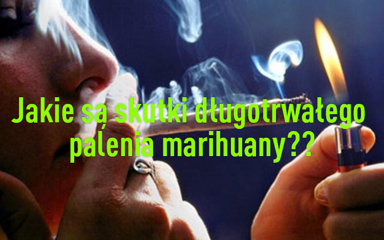 Negatywne Skutki Długotrwałego Palenia Marihuany Cannabis News 6828