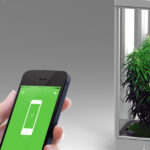 automatyczny growbox