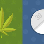 opioidy a marihuana medyczna